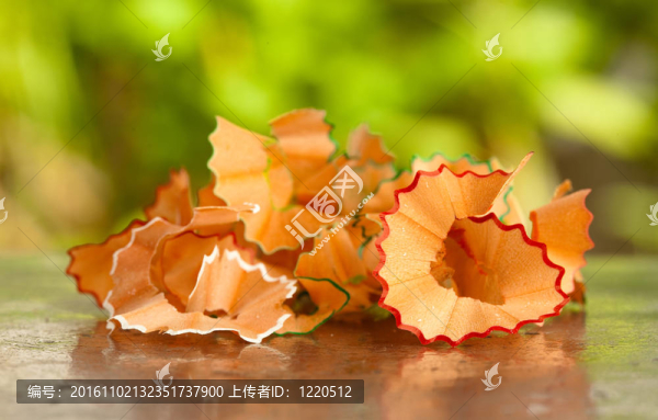 蠟筆屑