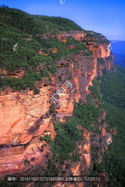 藍(lán)山-澳大利亞