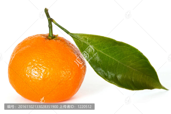 Tangerine夜店