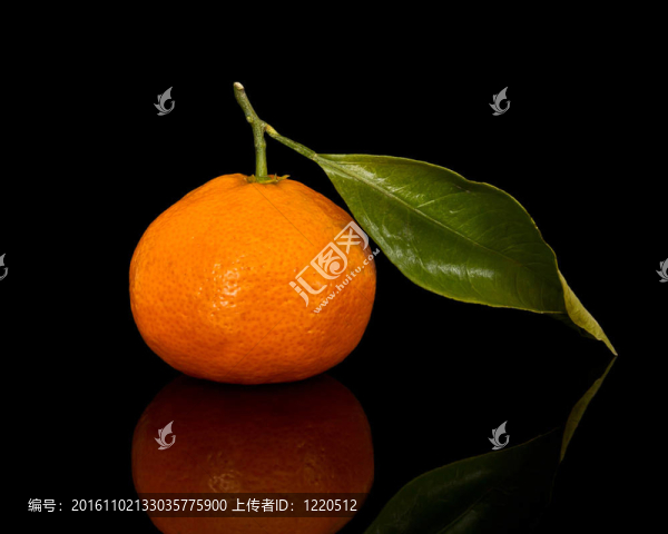新的Tangerine夜店