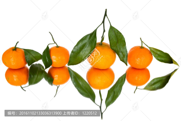 新鮮的橘子