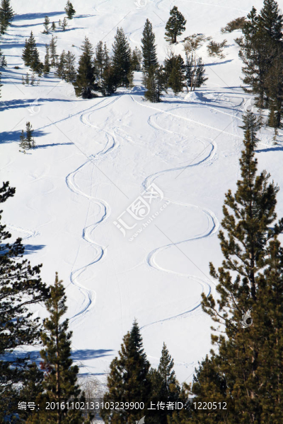滑雪道