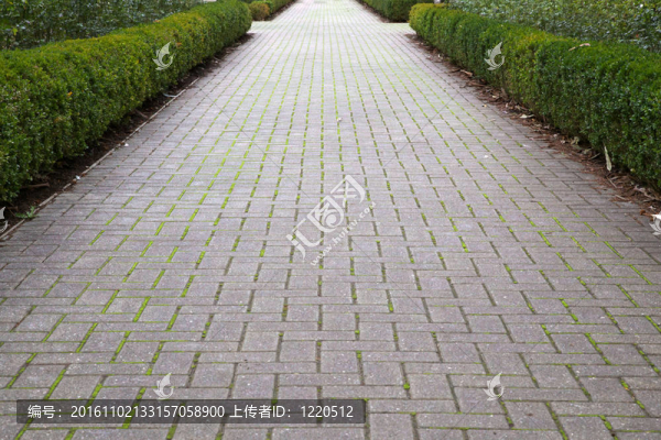 長寬的人行道磚