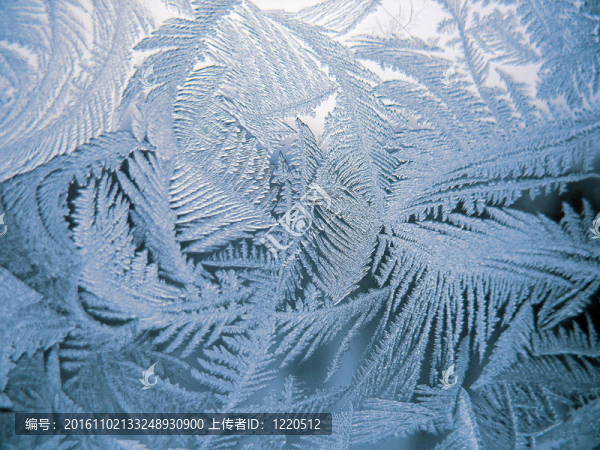 冬季窗上的雪紋