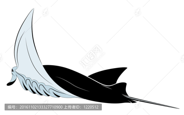 Manta,Ray；紋身