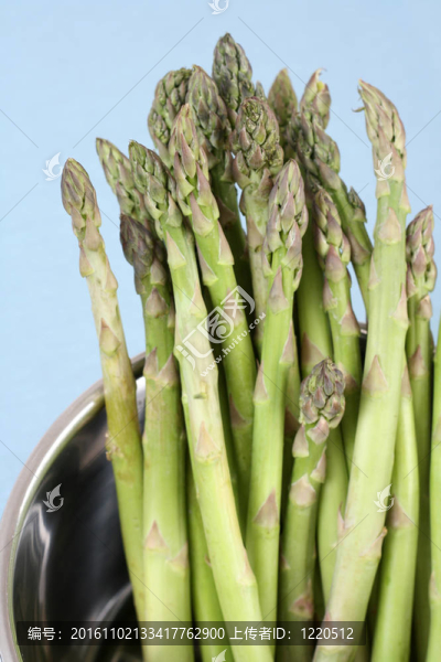 盆文竹