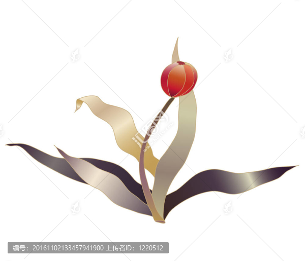 紅色郁金香花素描