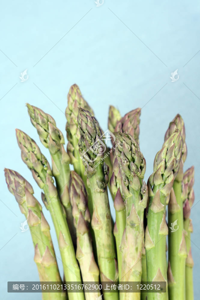 蘆筍
