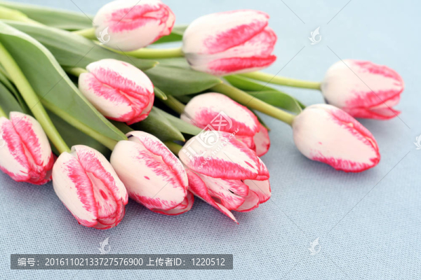 春天的時(shí)候！