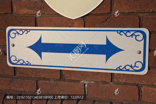 哪條路？