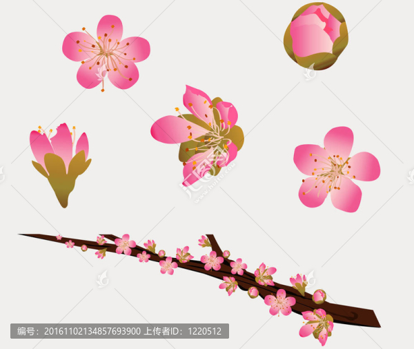 桃花和樹枝