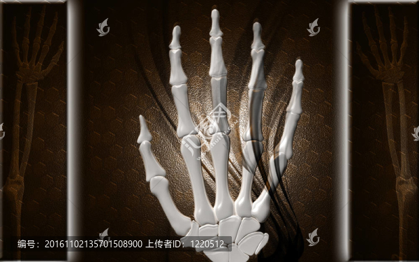 手骨