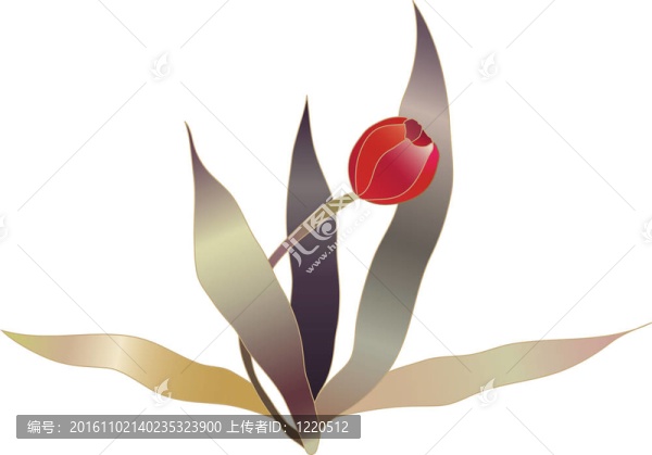 紅色郁金香花素描