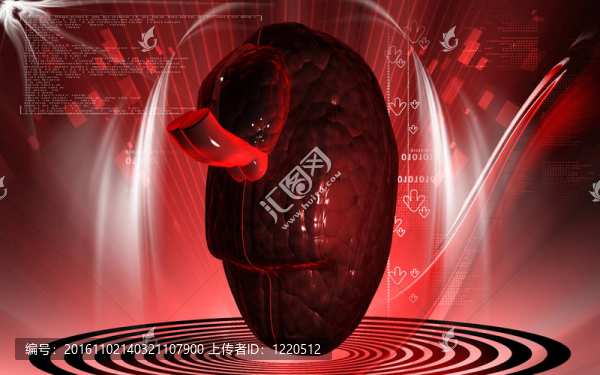腦