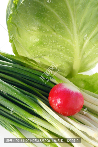 蔥；紅蘿卜和甘藍(lán)