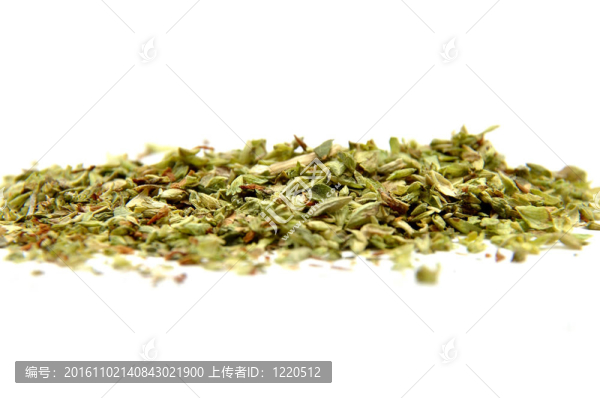 牛至白