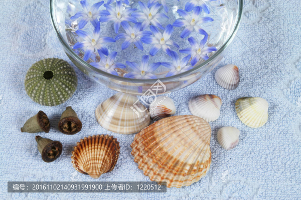 SPA的細節(jié)