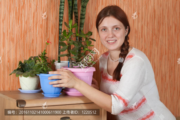 女人與花在鍋里