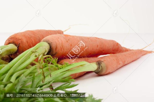 束胡蘿卜