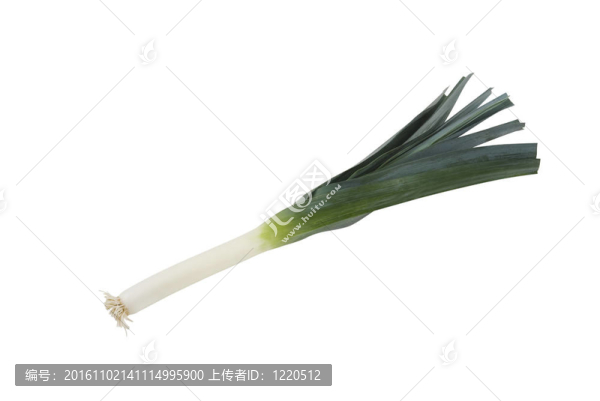 韭菜