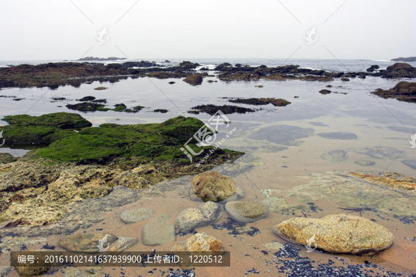 海池