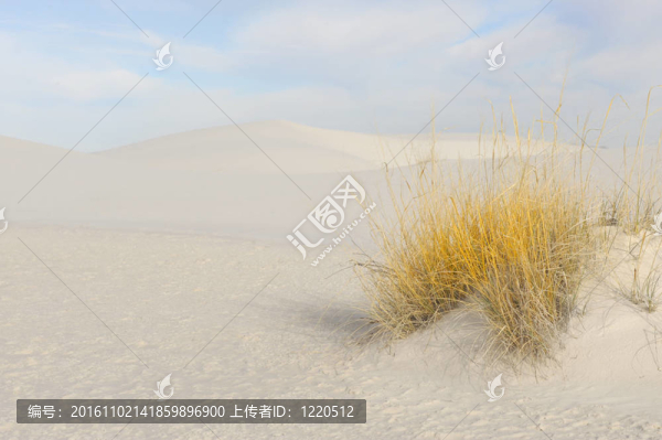 白色的沙灘