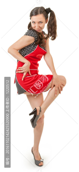 奢侈的情感的家庭主婦