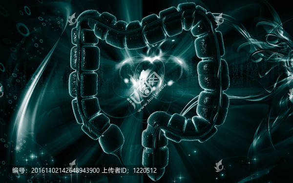 大腸