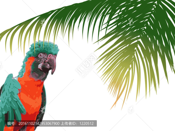 Parrot在森林里