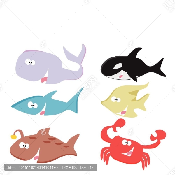 海洋動物
