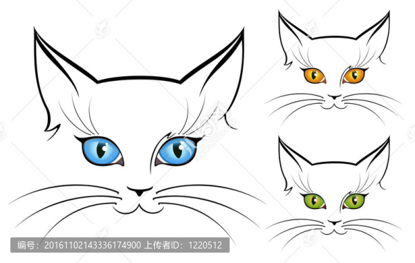 貓眼形象