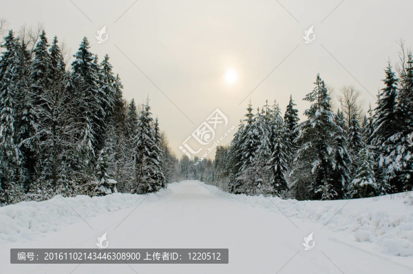 冬天的路