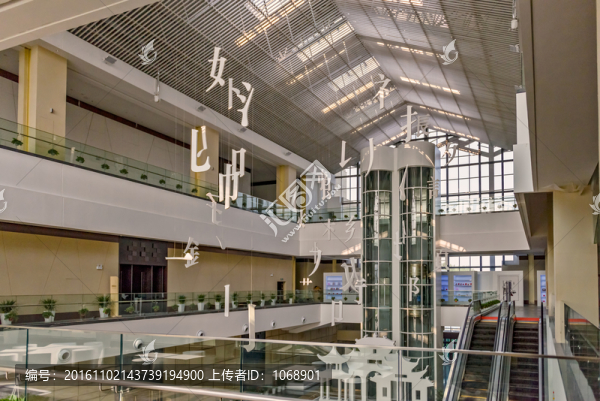 博物館中空天井
