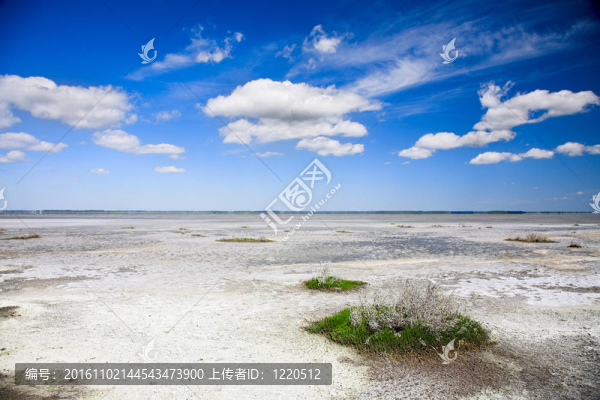 鹽湖