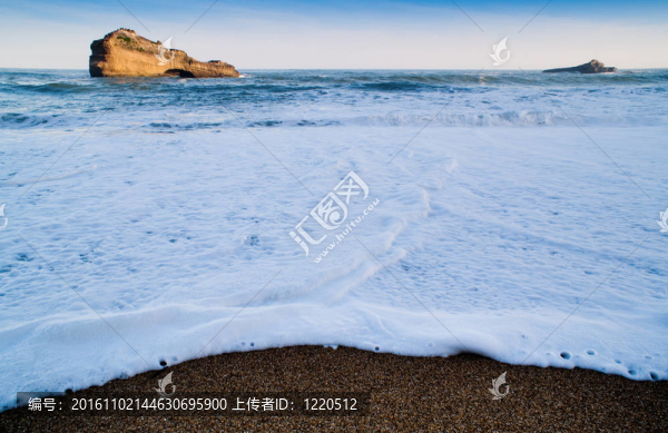 海洋