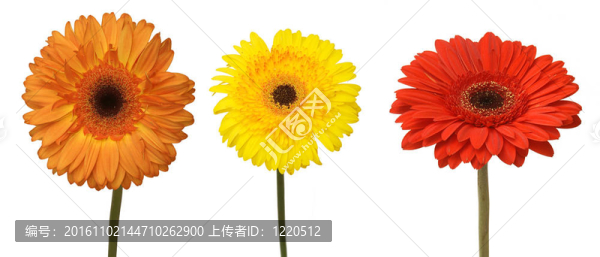 三花