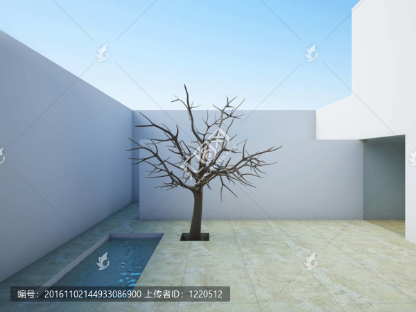 現(xiàn)代庭院。