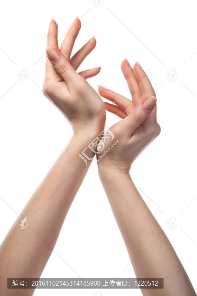 圖中女性手上白色的隔離