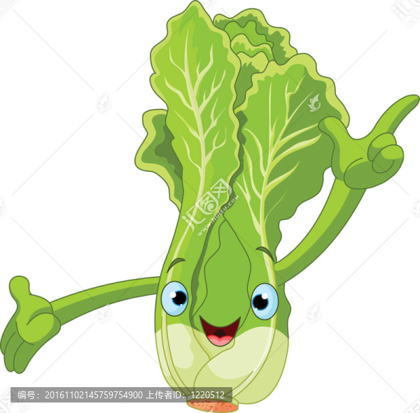 生菜的性格表現(xiàn)美