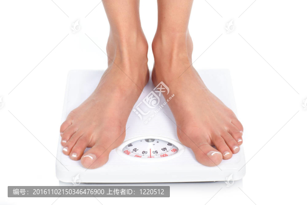 規(guī)模