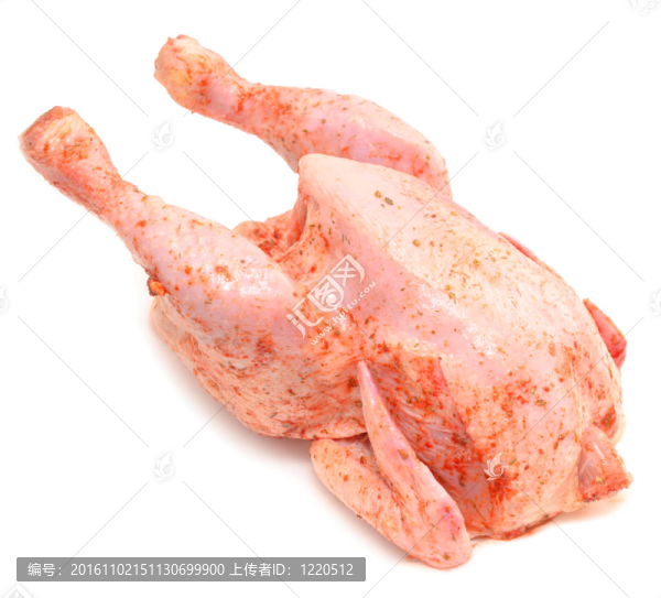 生雞肉