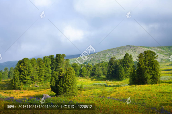 簡(jiǎn)單的山地景觀