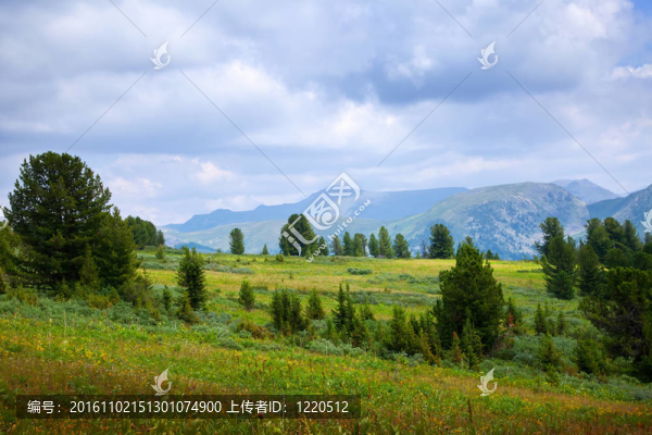 簡單的山地景觀