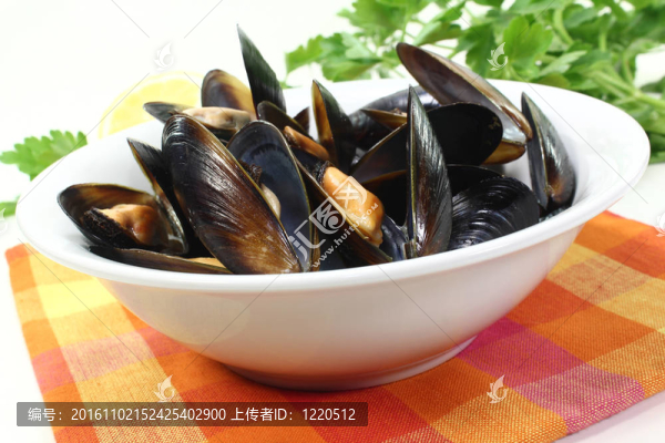 白碗里的貽貝