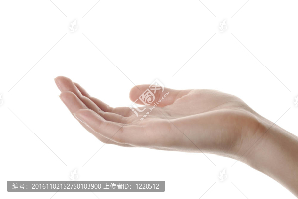 女人的手的特寫`孤立在白色背景
