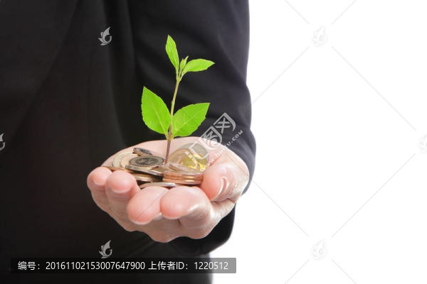 商業(yè)人用綠色植物從錢(qián)中成長(zhǎng)