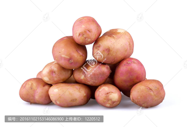 新鮮的土豆