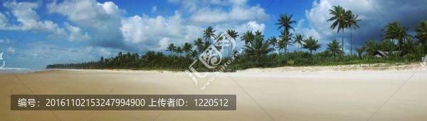 巴西海灘全景
