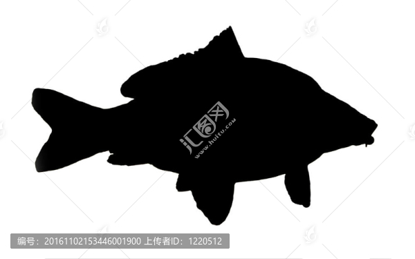 剪影的魚