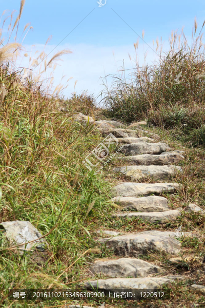山上的石頭路